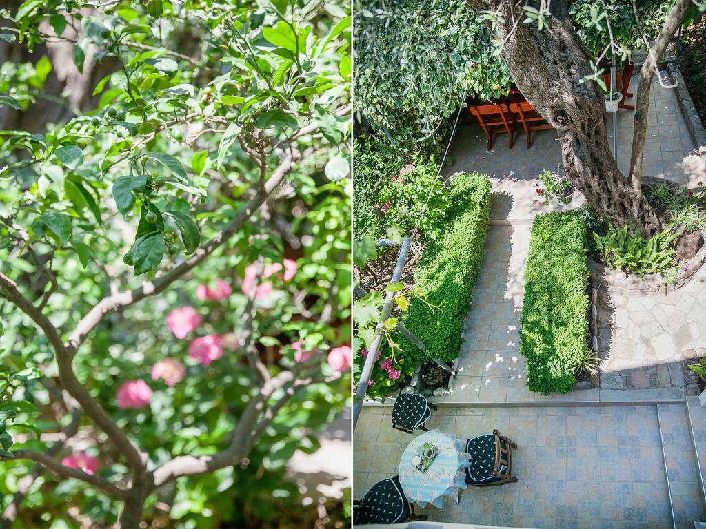 Rooms Garden Petrovac Kültér fotó